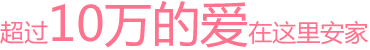 超过10万的爱在这里安家
